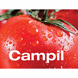 Campil